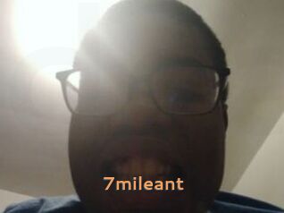 7mileant