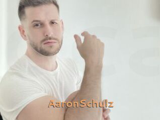 AaronSchulz