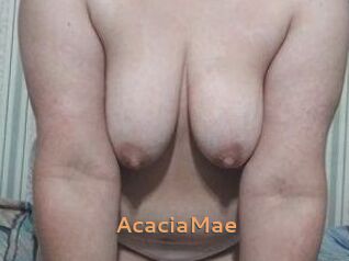 AcaciaMae