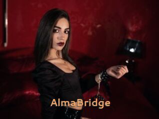 AlmaBridge