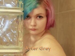 Aster_Grey