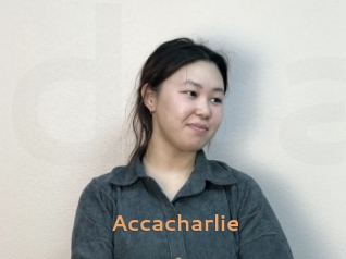 Accacharlie