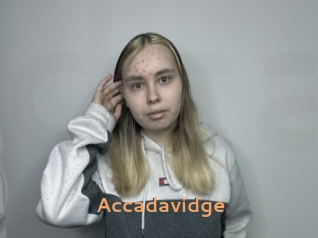 accadavidge Du Cul A Gogo