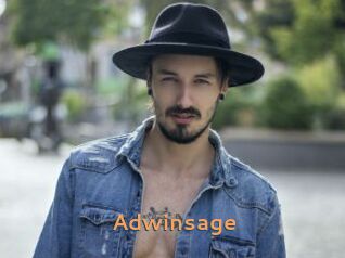 Adwinsage