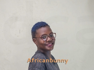 Africanbunny