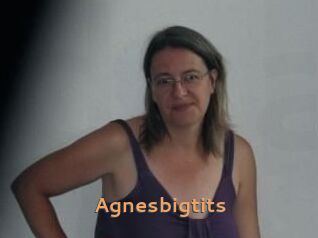 Agnesbigtits