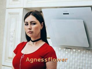 Agnessflower