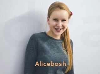 Alicebosh