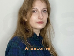 Alisecorne