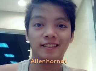 Allen_hornet