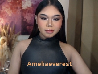 Ameliaeverest