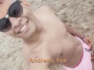 Andress_fox