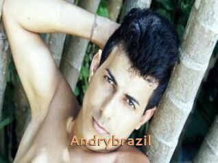 Andrybrazil