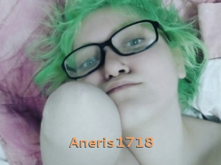 Aneris1718