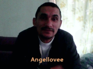 Angellovee