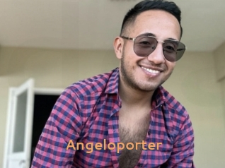 Angeloporter