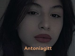 Antoniagitt