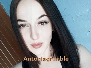 Antoniagrimble