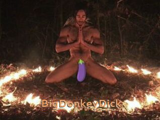 BigDonkeyDick