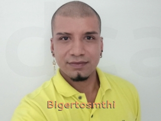 Bigertosmthi