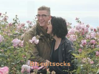 Biscuitsocks