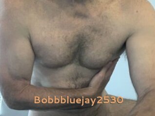 Bobbbluejay2530