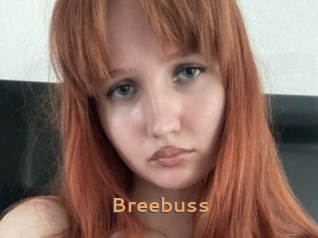 Breebuss