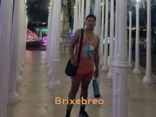 Brixebreo