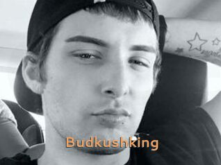 Budkushking