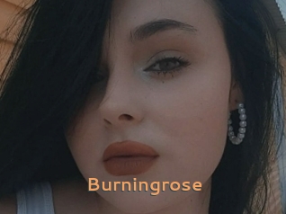 Burningrose