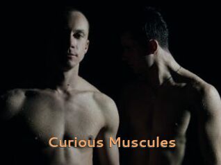 Curious_Muscules