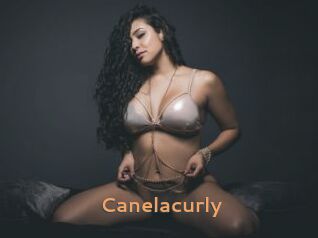 Canelacurly