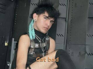 Cat_bad