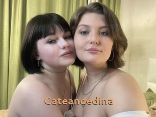 Cateandedina