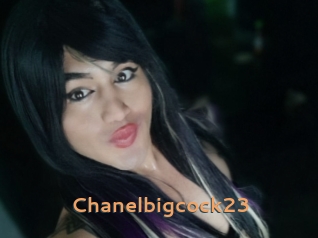 Chanelbigcock23