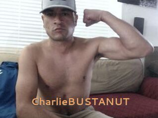 CharlieBUSTANUT