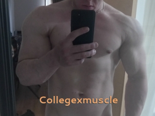 Collegexmuscle