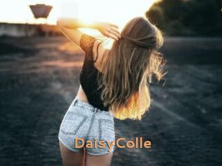 DaisyColle