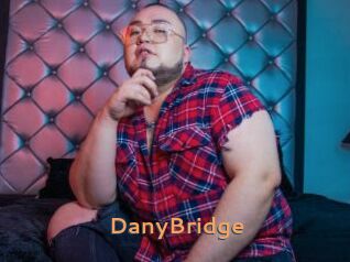 DanyBridge