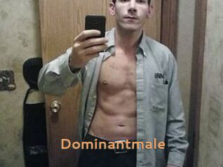 Dominantmale
