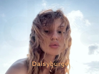 Daisyburge