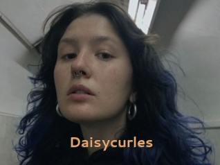 Daisycurles