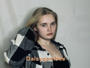 Daisygambee