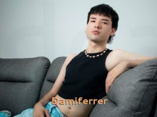 Damiferrer