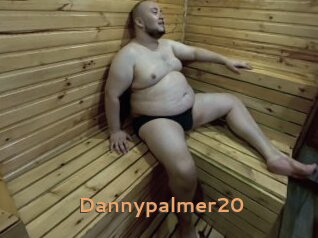 Dannypalmer20