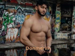 Donmerlin