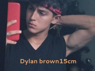 Dylan_brown15cm