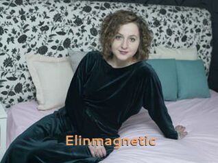 Elinmagnetic