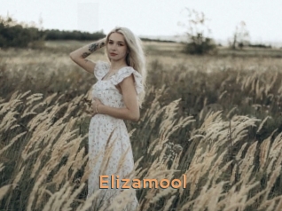 Elizamool