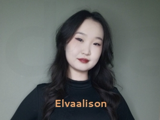 Elvaalison